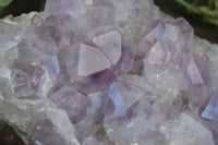 Natural Jacaranda Amethyst Clusters  x 2 From Mumbwa, Zambia - Toprock Gemstones and Minerals 