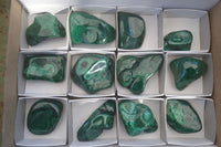 Polished Flower Banded Malachite Free Forms  x 12 From Congo - Toprock Gemstones and Minerals 