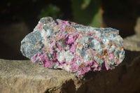 Natural Salrose Cobaltion Dolomite Specimens x 12 From Kakanda, Congo