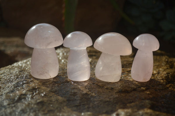 Polished Gemmy Rose Quartz Mushrooms x 12 From Ambatondrazaka, Madagascar