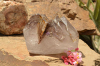 Polished Extra Large Smokey Amethyst Enhydro Window Quartz Crystal  x 1 From Madagascar - TopRock