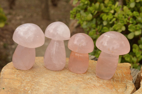 Polished Gemmy Pink Star Rose Quartz Mushrooms  x 6 From Madagascar - TopRock