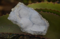 Natural Blue Lace Agate Geode Specimens  x 12 From Nsanje, Malawi