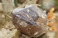 Natural Large Smokey Quartz Crystal  x 1 From Mt. Mulanje, Malawi - TopRock