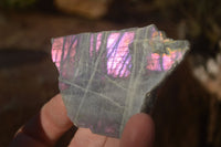 Polished  One Side Polished Purple Labradorite Slabs  x 24 From Tulear, Madagascar