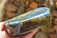 Polished Labradorite Standing Free Forms With Intense Blue & Gold Flash x 2 From Sakoany, Madagascar - TopRock