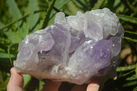 Natural Jacaranda Amethyst Clusters x 2 From Mumbwa, Zambia - TopRock