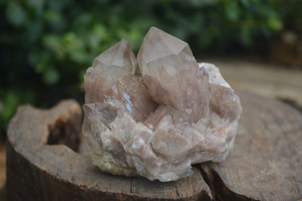 Natural Smokey Phantom Quartz Clusters  x 6 From Luena, Congo - Toprock Gemstones and Minerals 