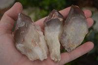 Natural Red Hematoid Quartz Specimens x 12 From Karoi, Zimbabwe - TopRock