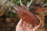 Polished Red Podocarpus Petrified Wood Standing Free Forms x 3 From Mahajanga, Madagascar