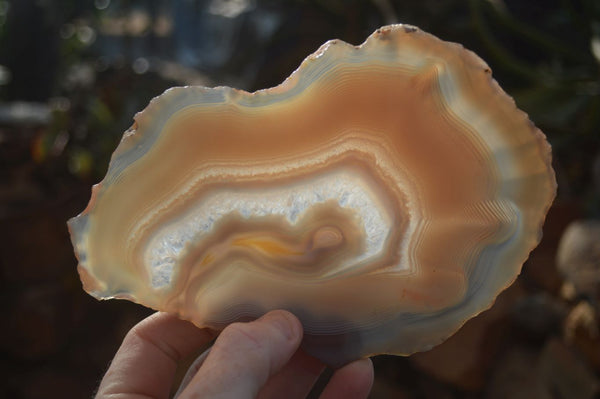 Polished Large Agate Slices With Stunning Patterns x 4 From Madagascar