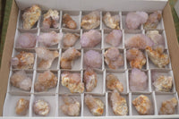 Natural Spirit Amethyst / Ametrine Quartz Crystals x 35 From Boekenhouthoek, South Africa - Toprock Gemstones and Minerals 