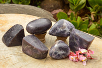 Polished Purple Lepidolite Mica Free Forms  x 6 From Zimbabwe - TopRock