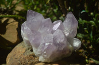 Natural Jacaranda Amethyst Clusters x 2 From Mumbwa, Zambia - TopRock