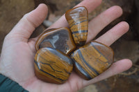 Polished Golden Tigers Eye Free Forms x 12 From Prieska, Northern Cape