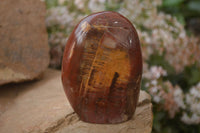 Polished Red Podocarpus Petrified Wood Standing Free Forms x 3 From Mahajanga, Madagascar