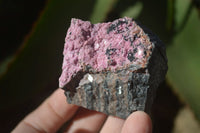 Natural Salrose Cobaltion Dolomite Specimens x 12 From Kakanda, Congo