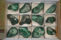 Polished Flower Malachite Free Forms  x 12 From Congo - Toprock Gemstones and Minerals 