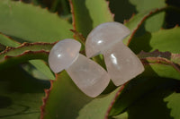 Polished Gemmy Rose Quartz Mushrooms x 12 From Ambatondrazaka, Madagascar