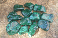 Polished Flower Banded Malachite Free Forms  x 12 From Congo - Toprock Gemstones and Minerals 