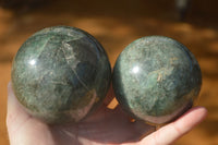 Polished  Green Fuchsite Quartz Spheres With Rosewood Stands  x 6 From Madagascar