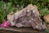 Natural Large Amethyst Crystal Specimen x 1 From Zambia - TopRock