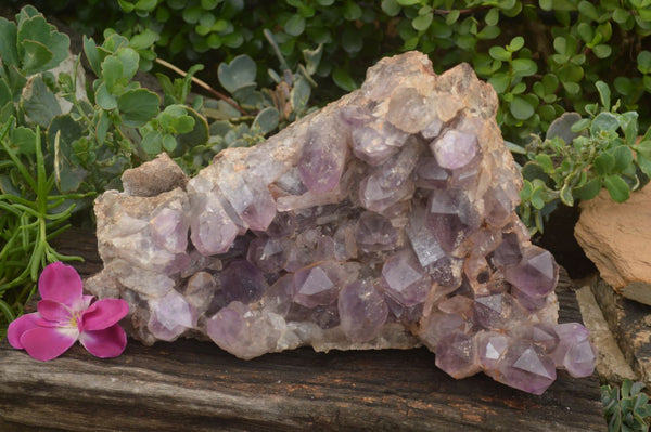 Natural Large Amethyst Crystal Specimen x 1 From Zambia - TopRock