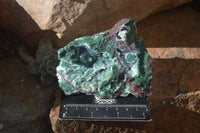 Natural Drusy Coated Ball Malachite On Dolomite Specimens x 2 From Likasi, Congo