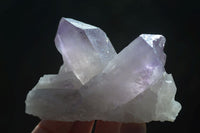 Natural Jacaranda Amethyst Clusters  x 3 From Mumbwa, Zambia - Toprock Gemstones and Minerals 