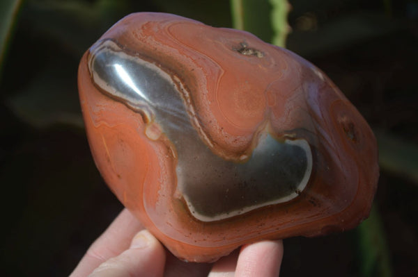 Polished Polychrome Jasper Domed Pieces  x 4 From Mahajanga, Madagascar