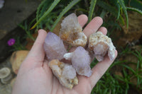 Natural Spirit Amethyst / Ametrine Quartz Crystals x 35 From Boekenhouthoek, South Africa - Toprock Gemstones and Minerals 