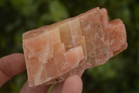 Natural New Sunset Orange Calcite Specimens  x 22 From Spitzkop, Namibia