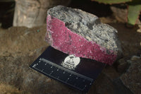 Natural Pink Salrose Cobaltion Dolomite Specimens  x 4 From Kakanda, Congo