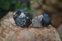 Natural Schorl Black Tourmaline Specimens  x 12 From Erongo, Namibia - Toprock Gemstones and Minerals 