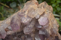 Natural Large Amethyst Crystal Specimen x 1 From Zambia - TopRock