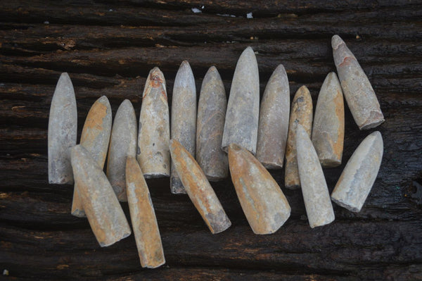 Natural Rare Malagasy Belemnite Fossils  x 35 From Maintirano, Madagascar - Toprock Gemstones and Minerals 