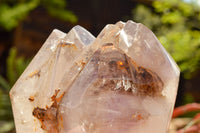 Polished Extra Large Smokey Amethyst Enhydro Window Quartz Crystal  x 1 From Madagascar - TopRock