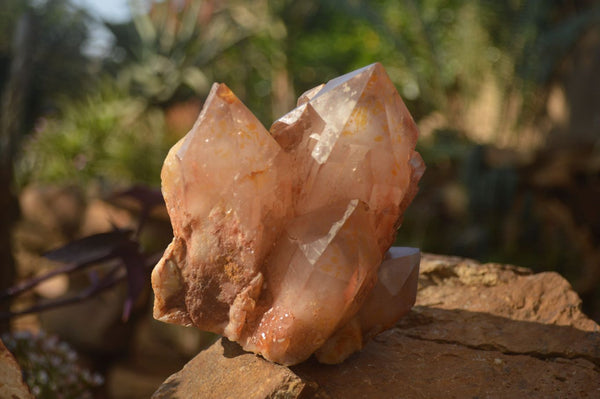 Natural Red Hematoid Phantom Quartz Specimens x 3 From Karoi, Zimbabwe