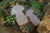 Polished Gemmy Rose Quartz Mushrooms x 12 From Ambatondrazaka, Madagascar