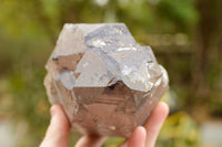 Natural Large Smokey Quartz Crystal  x 1 From Mt. Mulanje, Malawi - TopRock