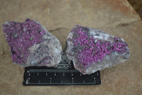 Natural Pink Salrose Cobaltion Dolomite Specimens  x 6 From Congo - Toprock Gemstones and Minerals 