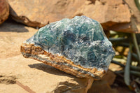 Natural Stone Sealed Watermelon Fluorite Cobbed Pieces  x 5 From Uis, Namibia - TopRock