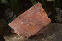 Natural New Giant Sunset Orange Calcite Specimens  x 1 From Spitzkop, Namibia