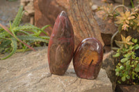 Polished Red Podocarpus Petrified Wood Standing Free Forms x 3 From Mahajanga, Madagascar