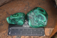 Polished Flower Banded Malachite Free Forms  x 12 From Congo - Toprock Gemstones and Minerals 