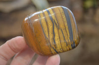 Polished Golden Tigers Eye Free Forms x 12 From Prieska, Northern Cape