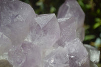 Natural Jacaranda Amethyst Clusters x 2 From Mumbwa, Zambia - TopRock