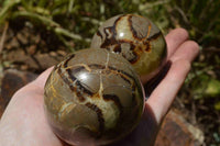 Polished Septerye, Calcite, Aragonite  Spheres x 12 From Madagascar - TopRock