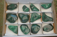 Polished Flower Banded Malachite Free Forms  x 12 From Congo - Toprock Gemstones and Minerals 