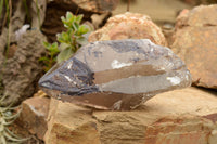 Natural Large Smokey Quartz Crystal  x 1 From Mt. Mulanje, Malawi - TopRock